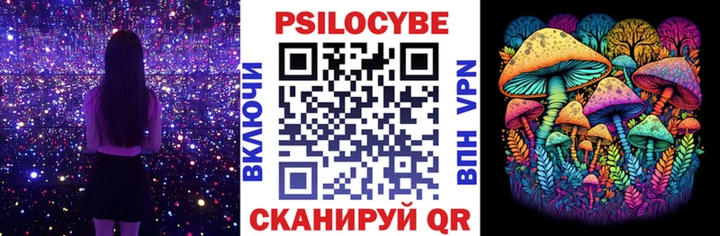 mega Малая Вишера Псилоцибиновые грибы мухоморы